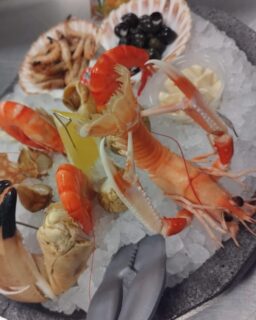 Réservez votre plateau de fruits de mer pour les fêtes dès maintenant par téléphone !!! 
🥰🦪🍤

PS : nous serons ouverts exceptionnellement les lundis 22 & 29 décembre…
Le 24 & 31 décembre nous serons ouverts uniquement le midi… 🎅🏼🎄