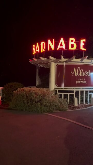 Barnabé by night avec les décorations de Noël…
Qui les a vus…?!?! 🥰😍✨