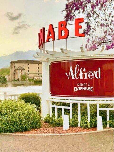 Il est 19h, l’heure idéale pour venir passer un agréable moment chez Alfred… 🥰
À tout de suite !!! ☺️