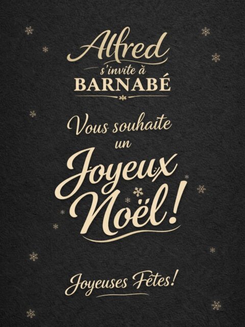 Toute l’équipe vous souhaite un beau & joyeux Noël !!!
On se retrouve demain …!!! 🥰