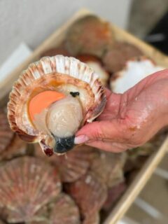 On laisse ceux qui les connaissent en parler…
☺️🥰